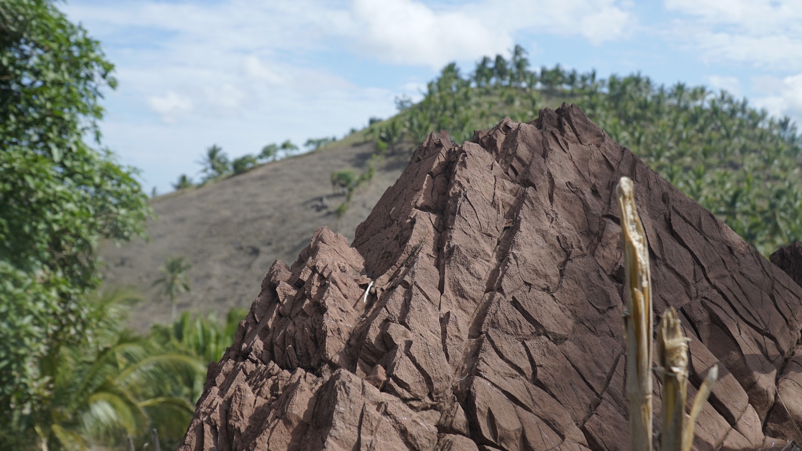 Jejak Laut Purba di Daratan Gorontalo: Menguak Keunikan Geosite Batugamping Merah Lahumbo..